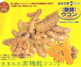 沖縄産無農薬秋ウコン100%